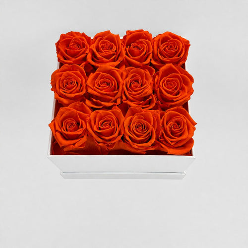 12 Roses - Square Box