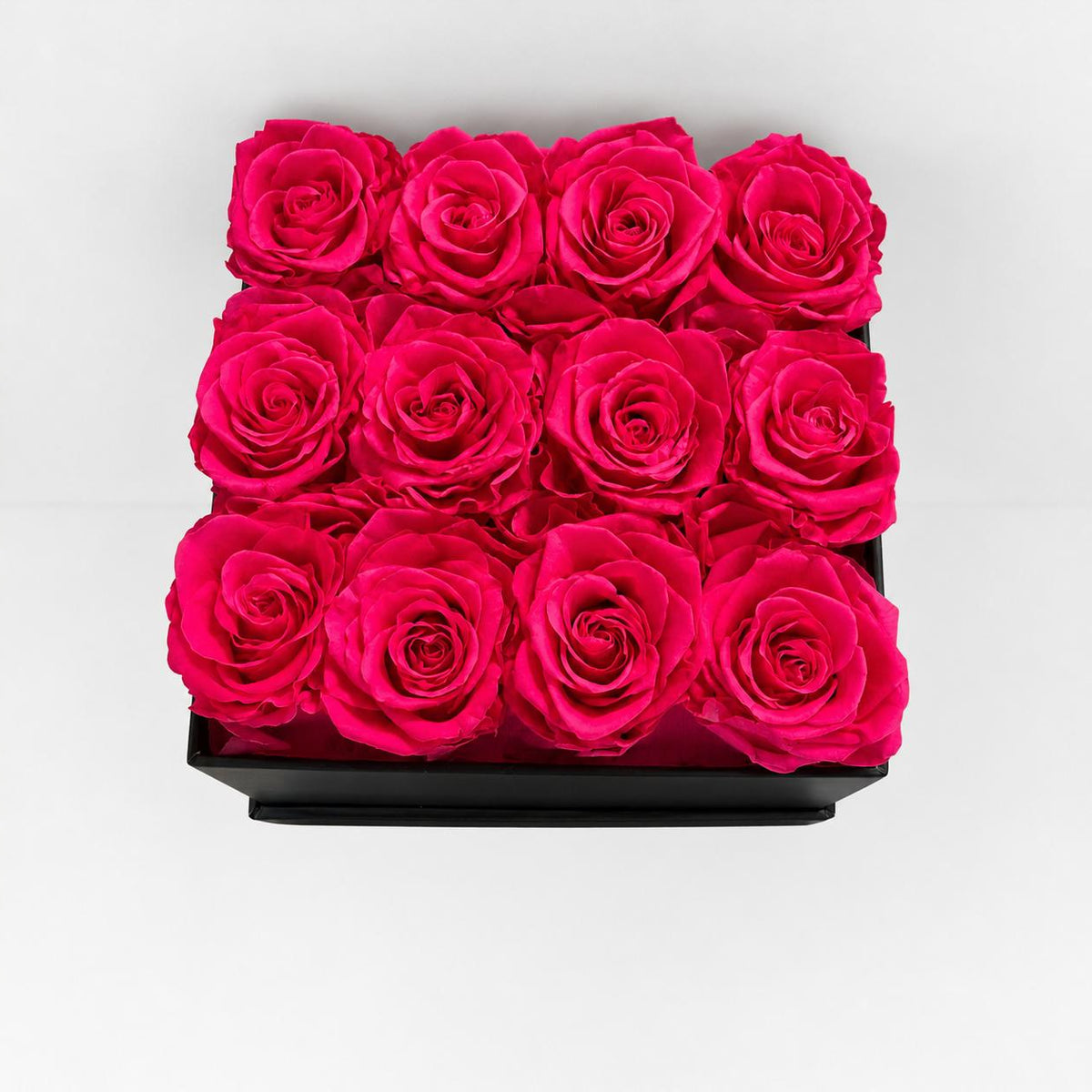 12 Roses - Square Box