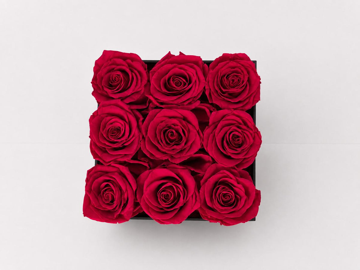 9 Roses - Square Box