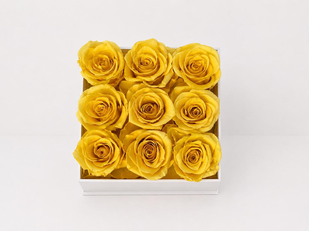 9 Roses - Square Box