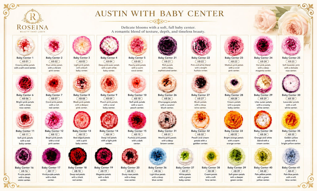Austin - Baby Centre Color Collection