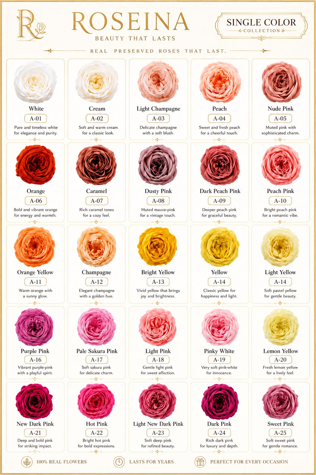 Austin - Single Color Collection I