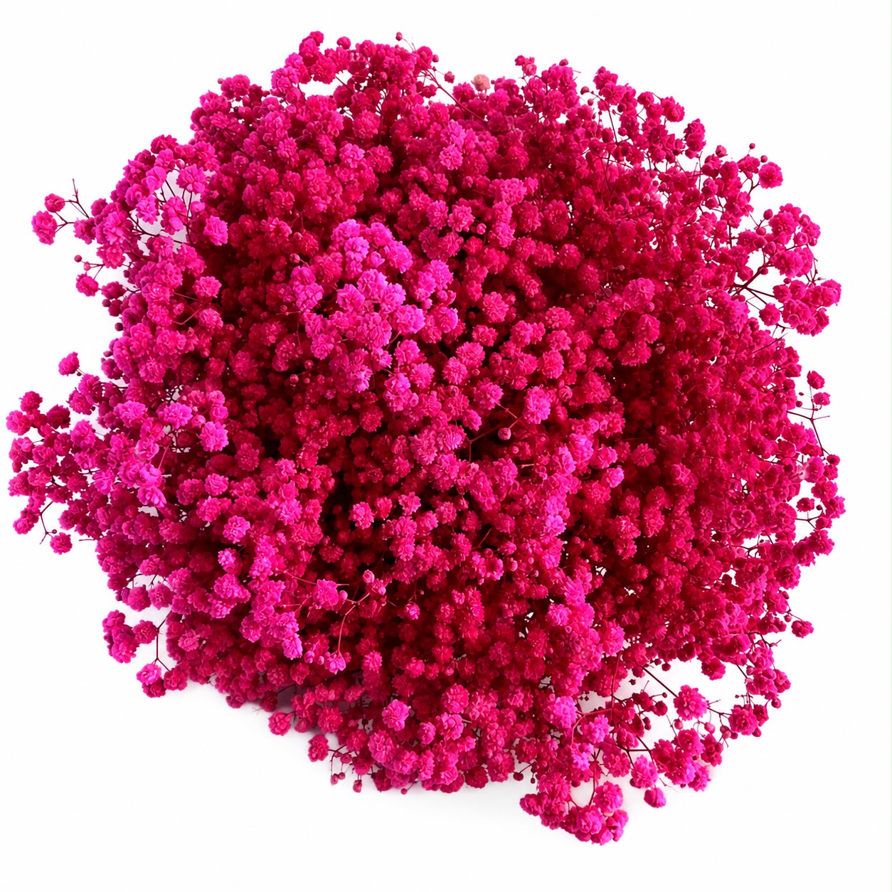 Baby Breath