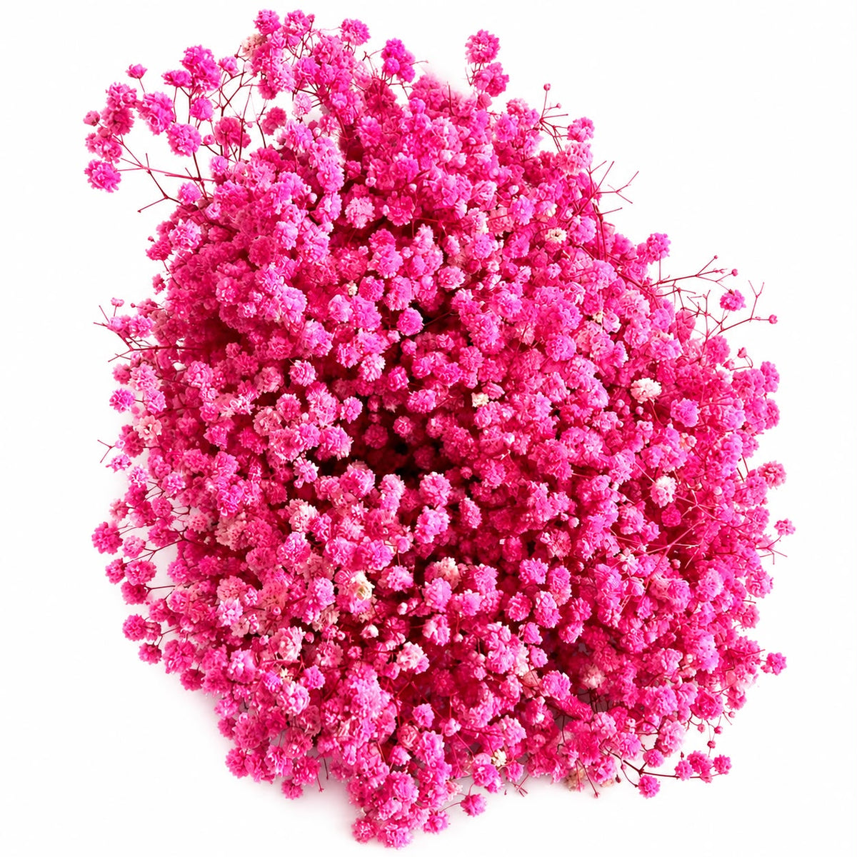 Baby Breath