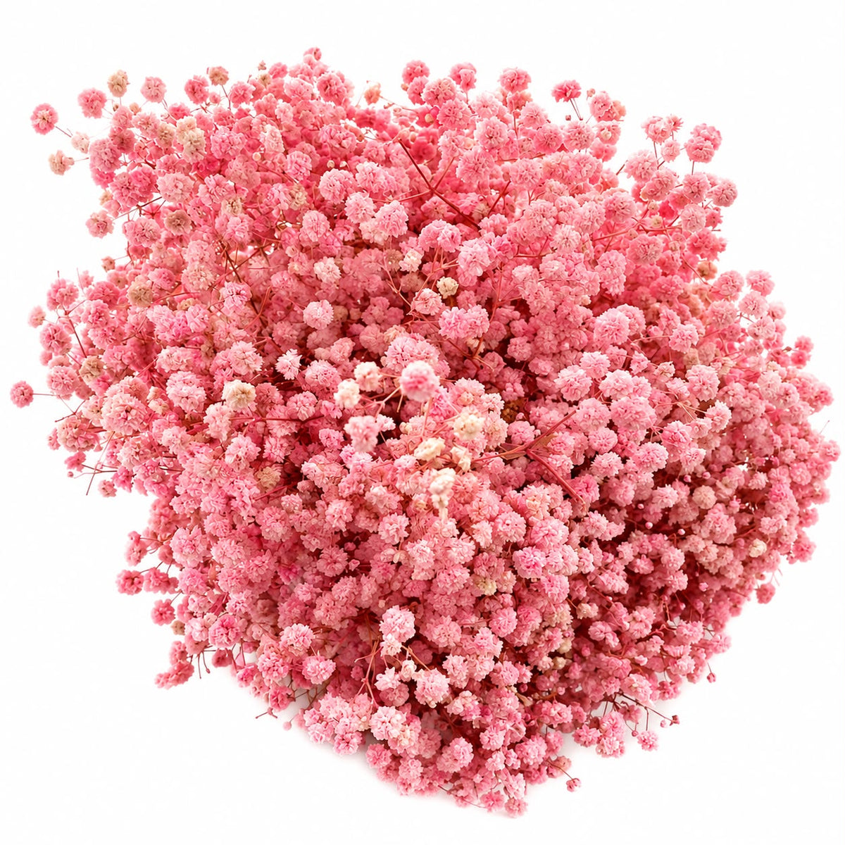 Baby Breath