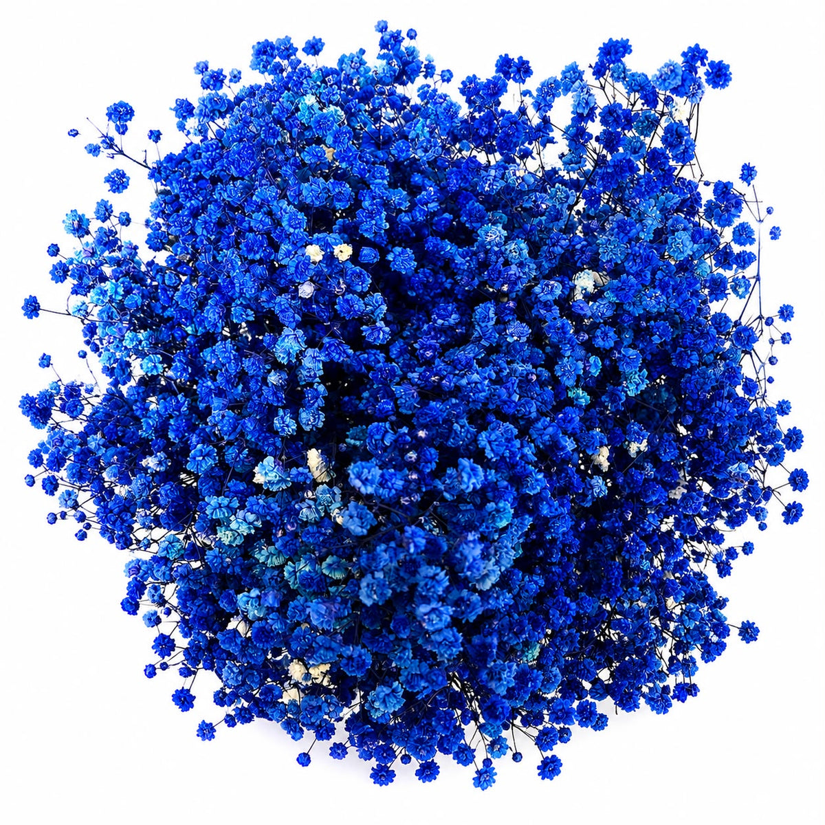 Baby Breath