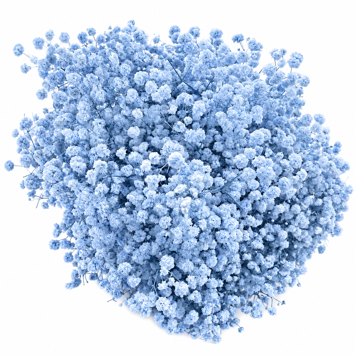 Baby Breath
