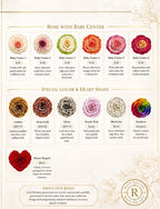 Special Rose Collection