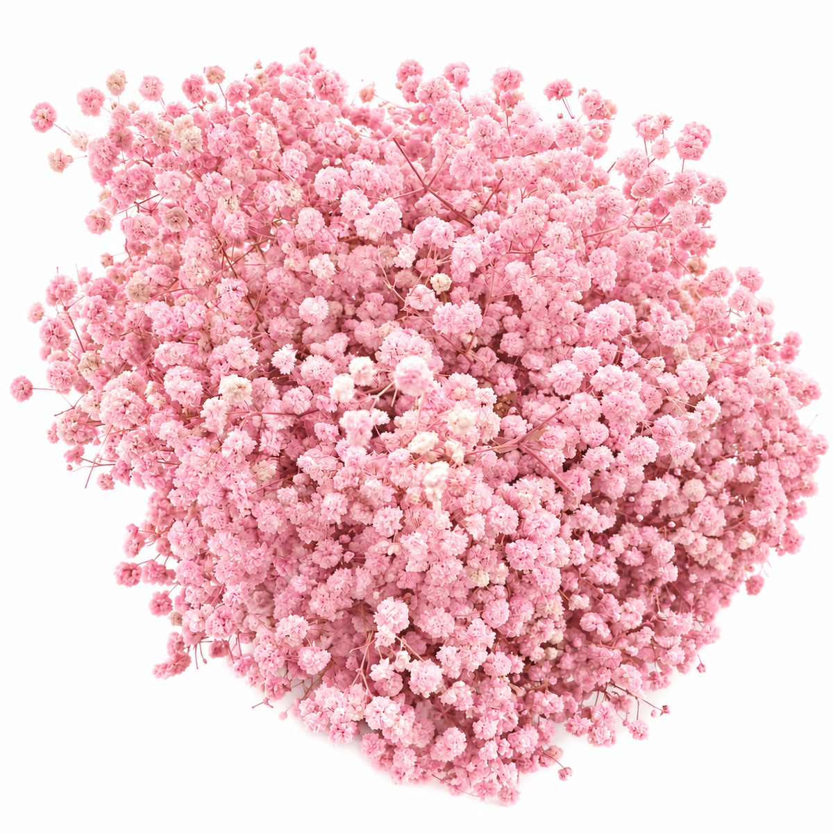Baby Breath