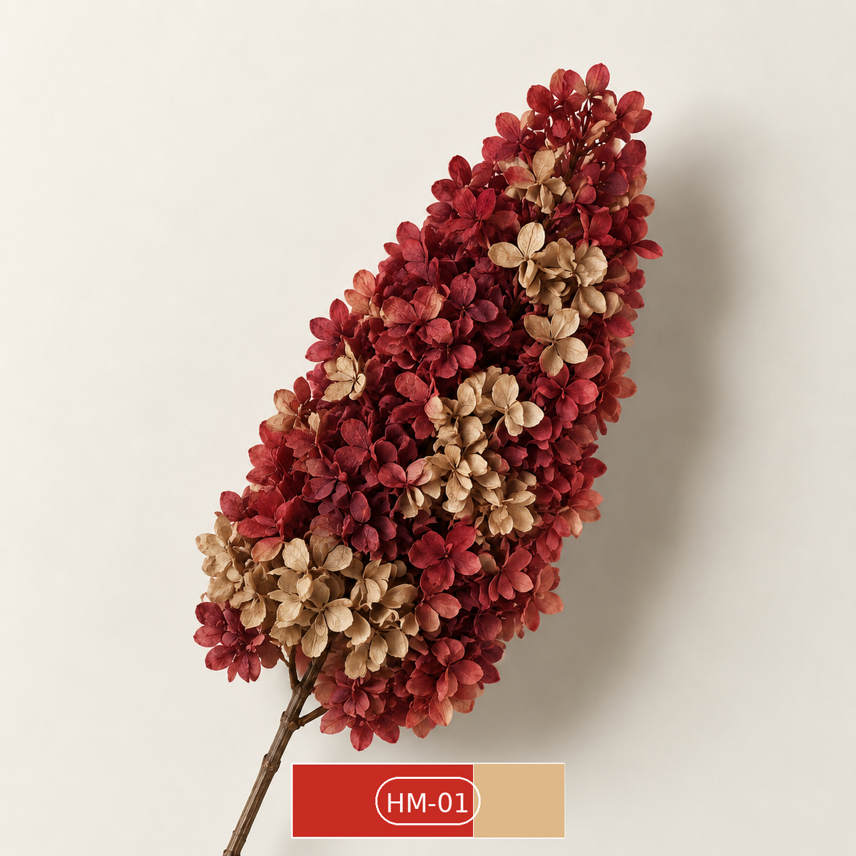 Hydrangea - Multicolor Collection I
