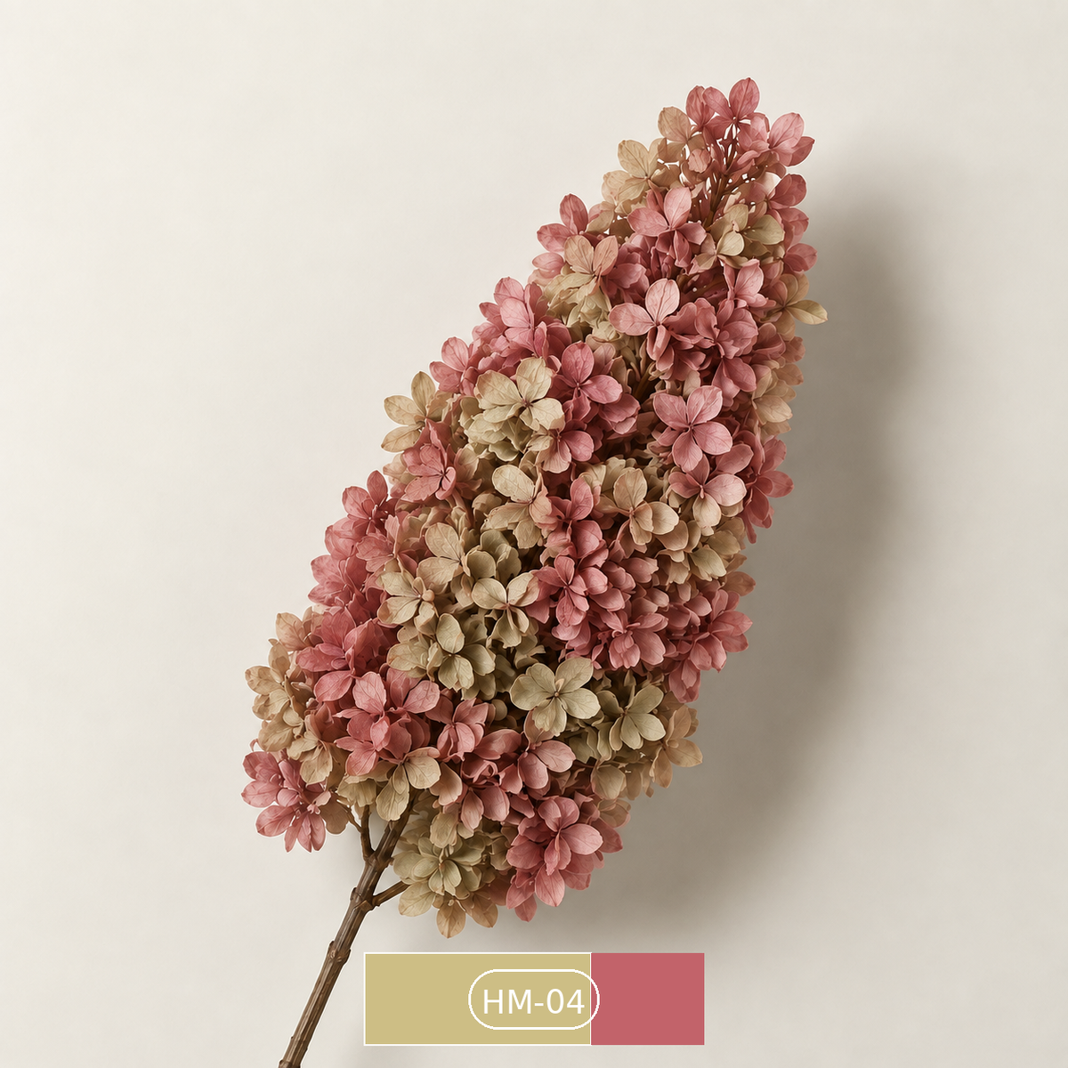 Hydrangea - Multicolor Collection I