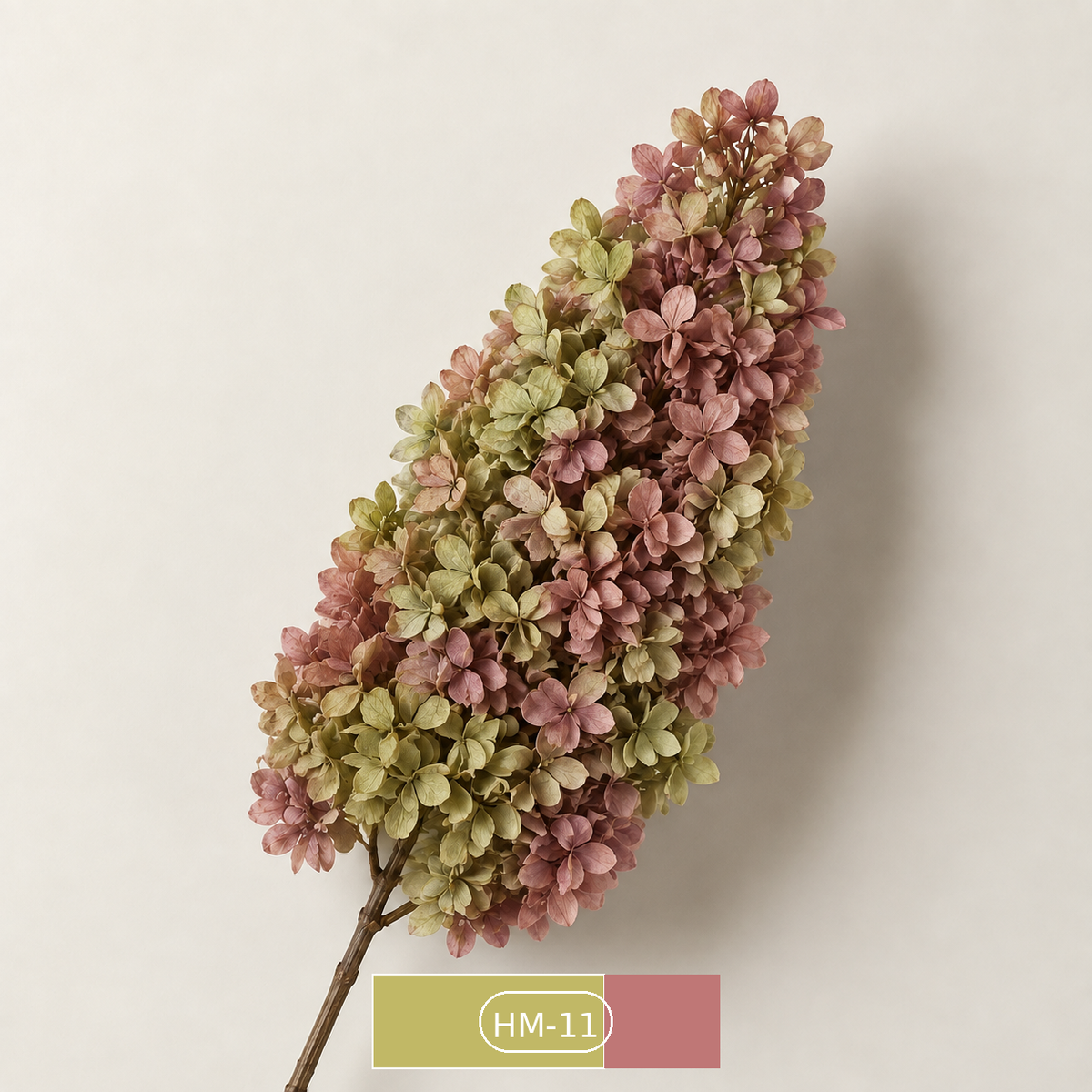 Hydrangea - Multicolor Collection I