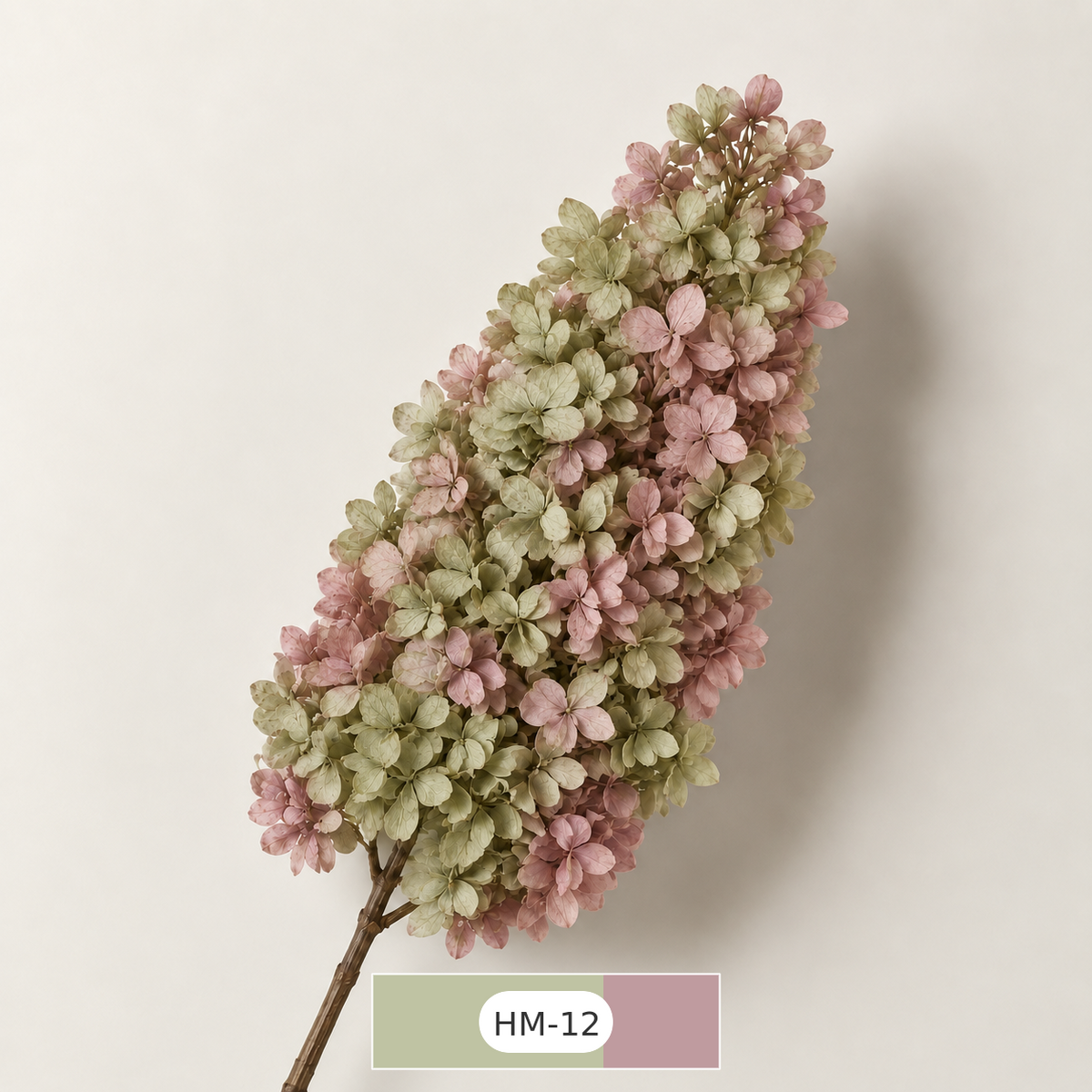 Hydrangea - Multicolor Collection I