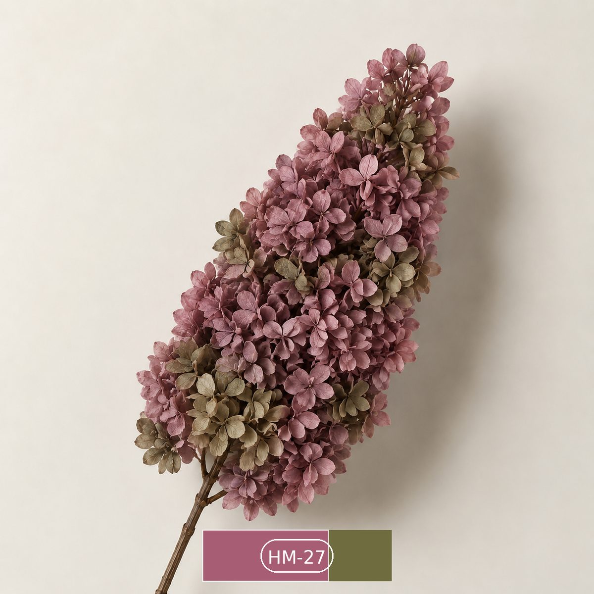 Hydrangea - Multicolor Collection I