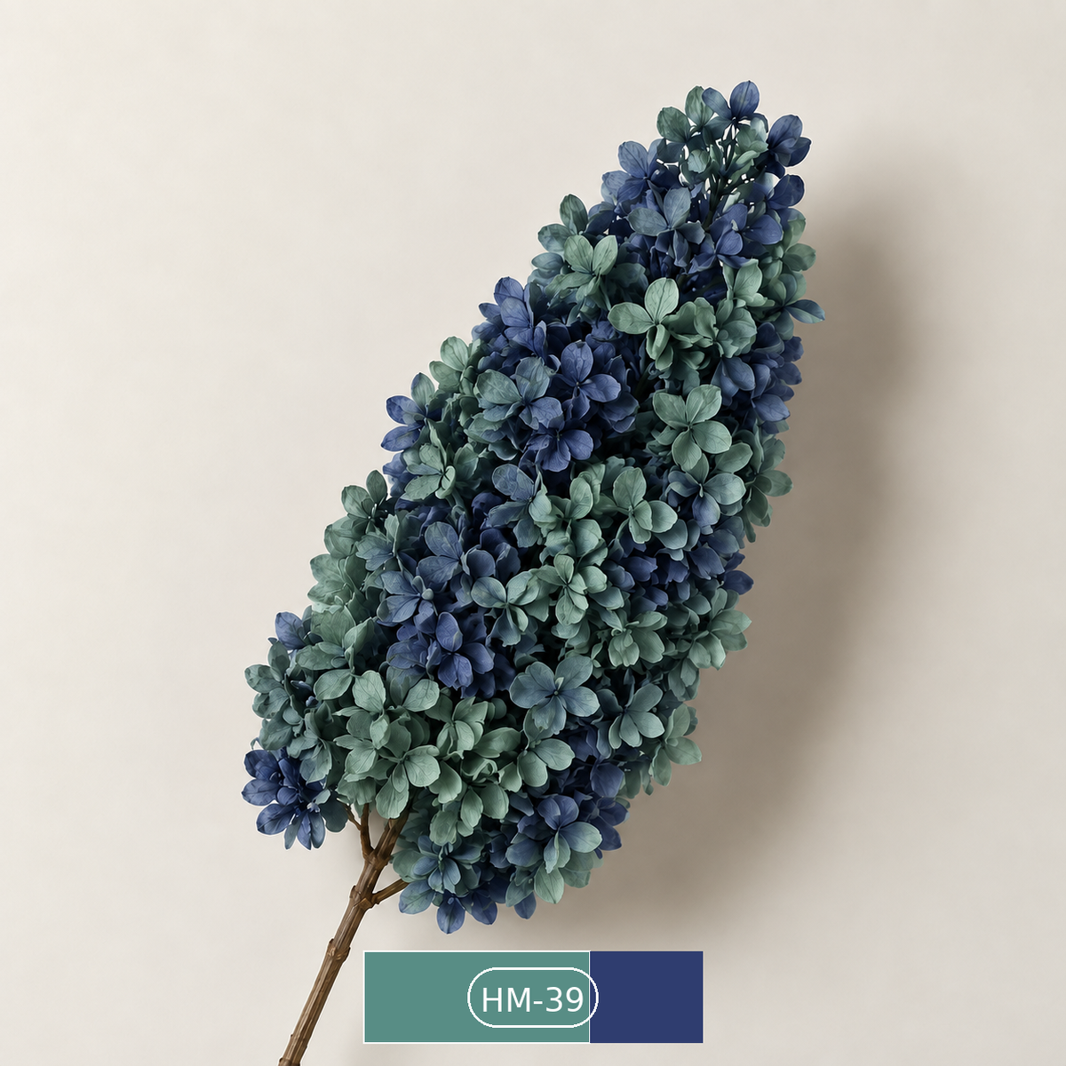 Hydrangea - Multicolor Collection II