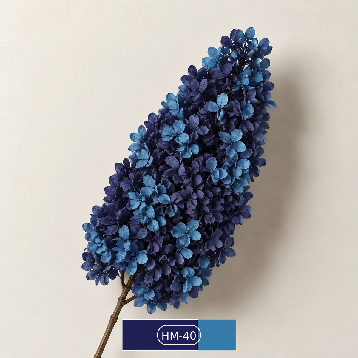 Hydrangea - Multicolor Collection II