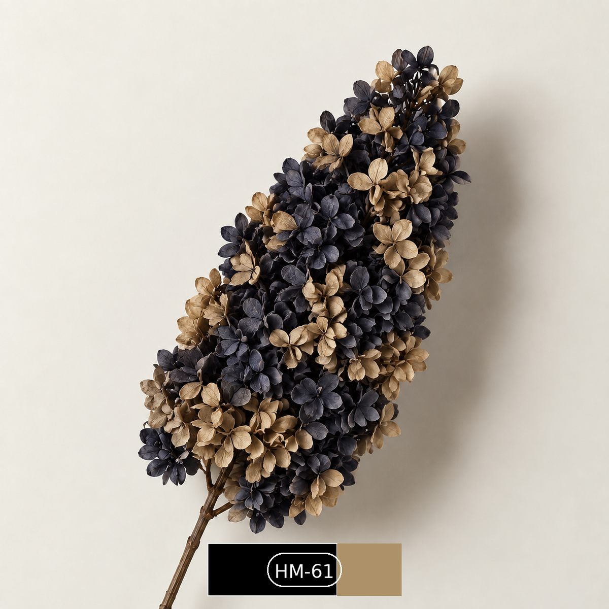 Hydrangea - Multicolor Collection II