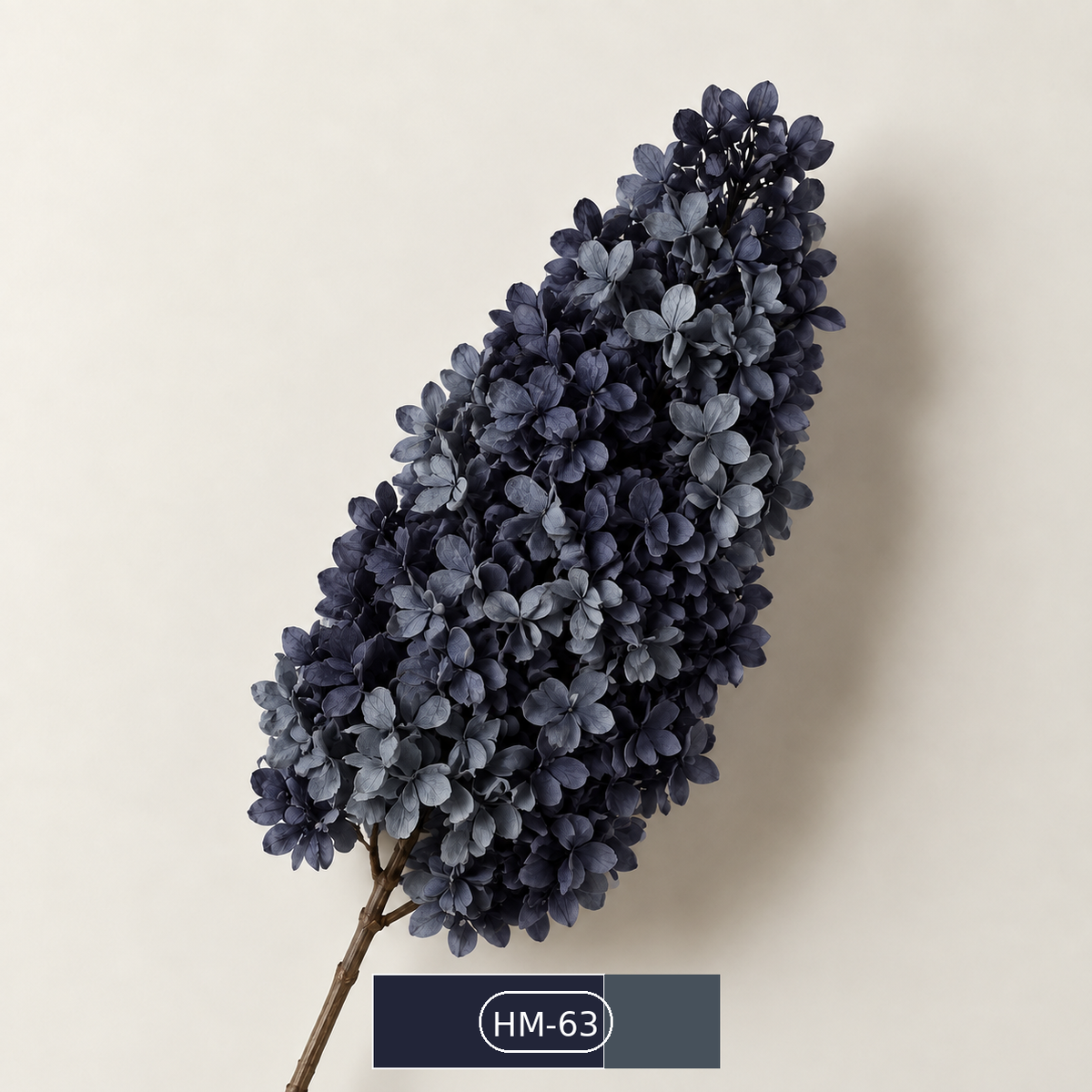 Hydrangea - Multicolor Collection II