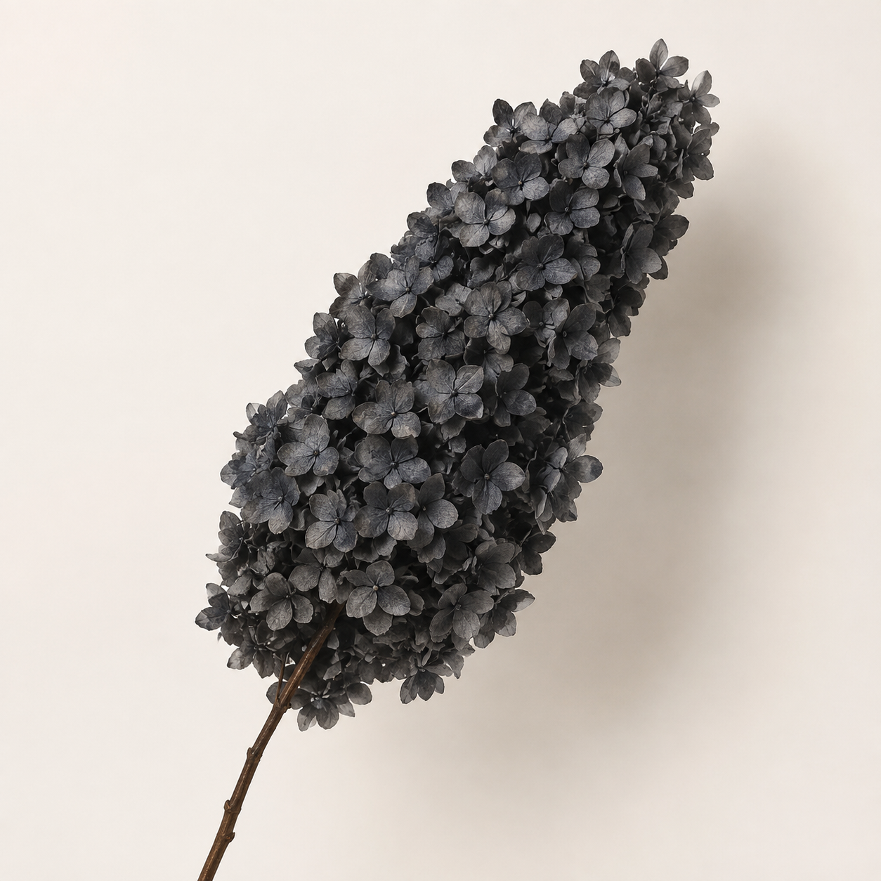 Hydrangea - Single Color Collection II
