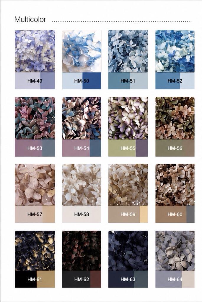 Hydrangea - Multicolor Collection II