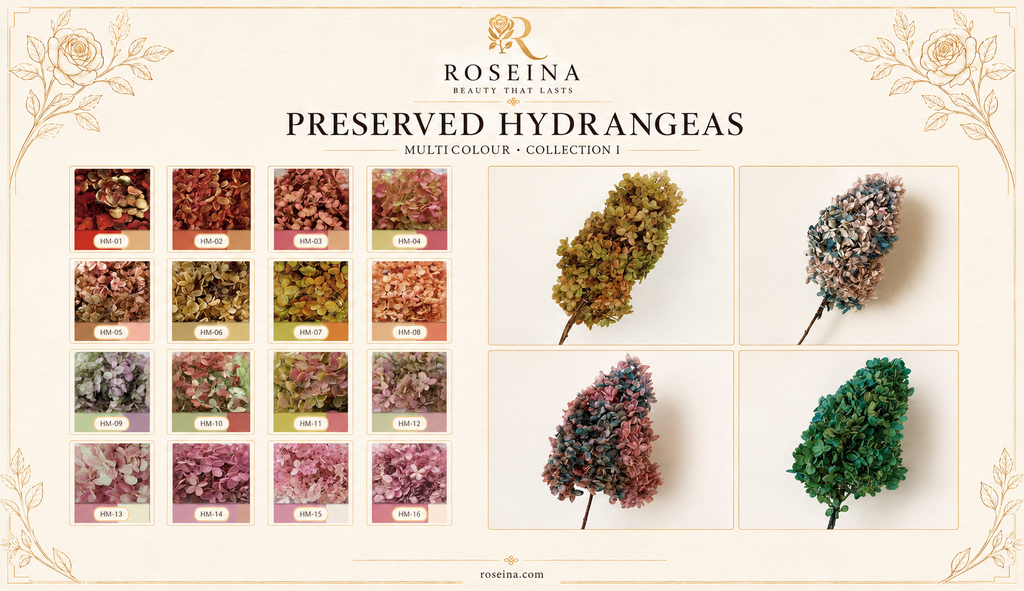 Hydrangea - Multicolor Collection I