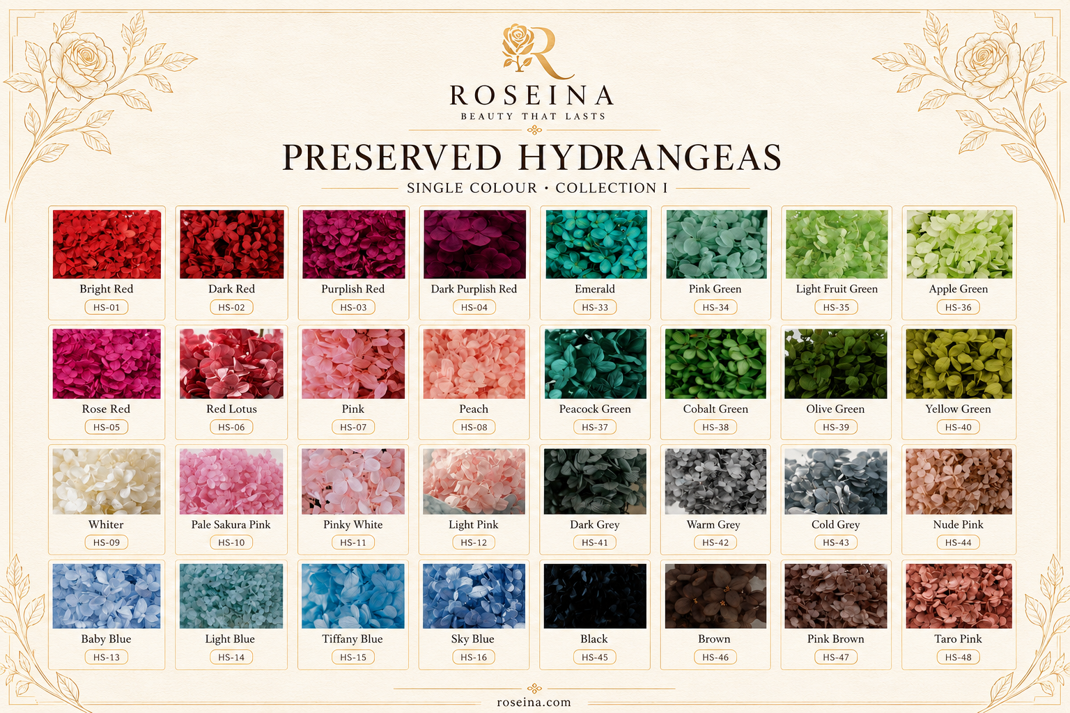 Hydrangea - Single Color Collection I