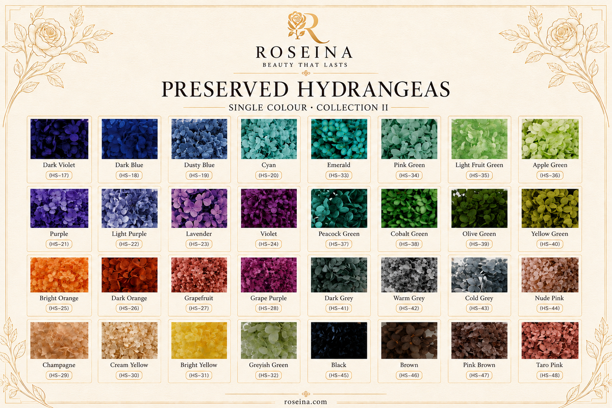 Hydrangea - Multicolor Collection II