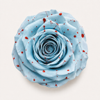 Gradient and Abstract Color Rose Collection