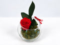 Ruby Rose in Glass Vase