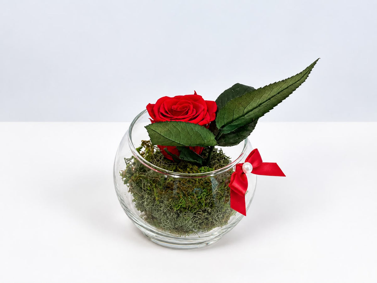Ruby Rose in Glass Vase