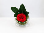 Ruby Rose in Glass Vase