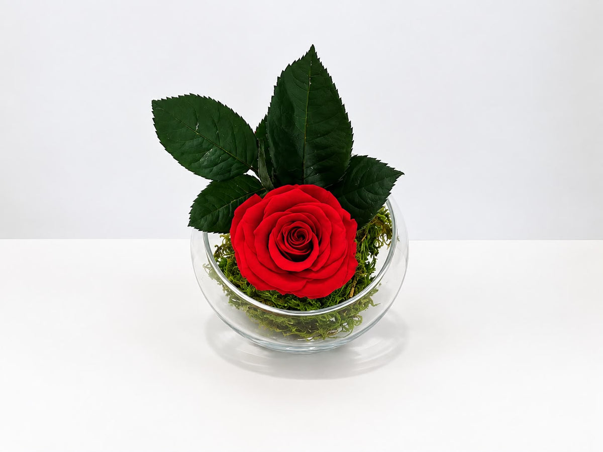 Ruby Rose in Glass Vase