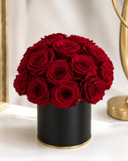 Rose - Single Color Collection I