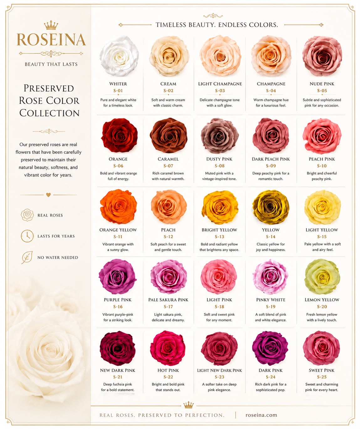 Rose - Single Color Collection I