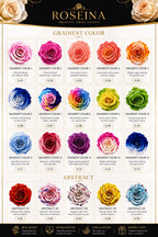 Gradient and Abstract Color Rose Collection