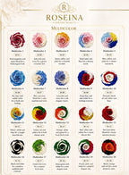 Multicolor Rose Collection
