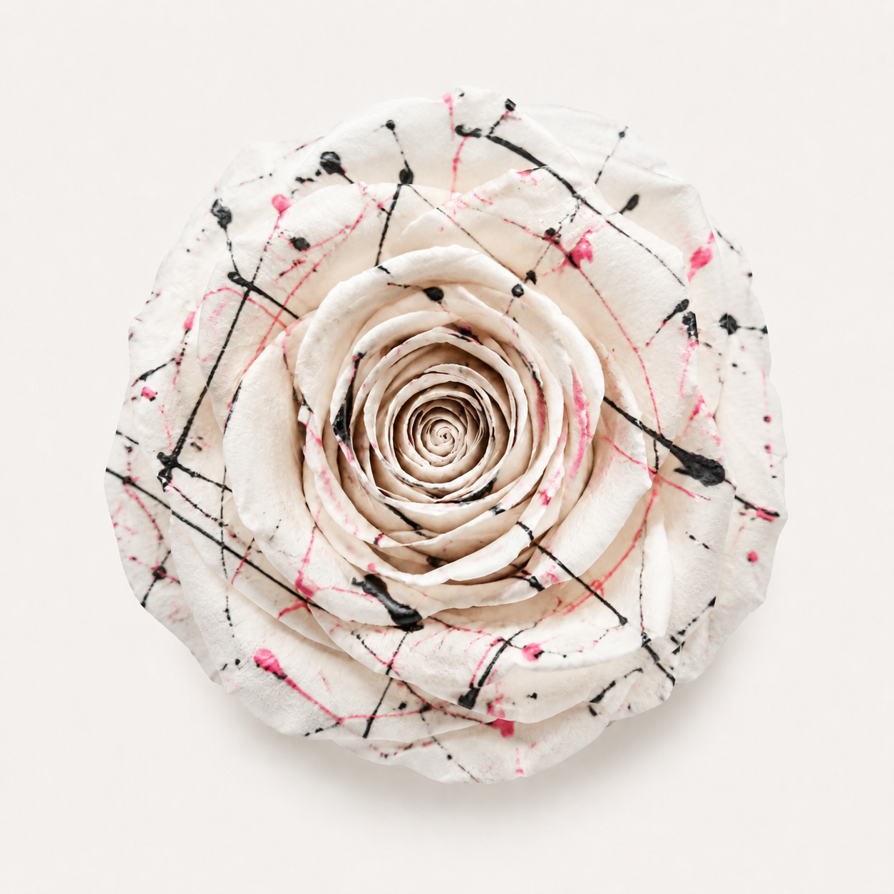 Gradient and Abstract Color Rose Collection