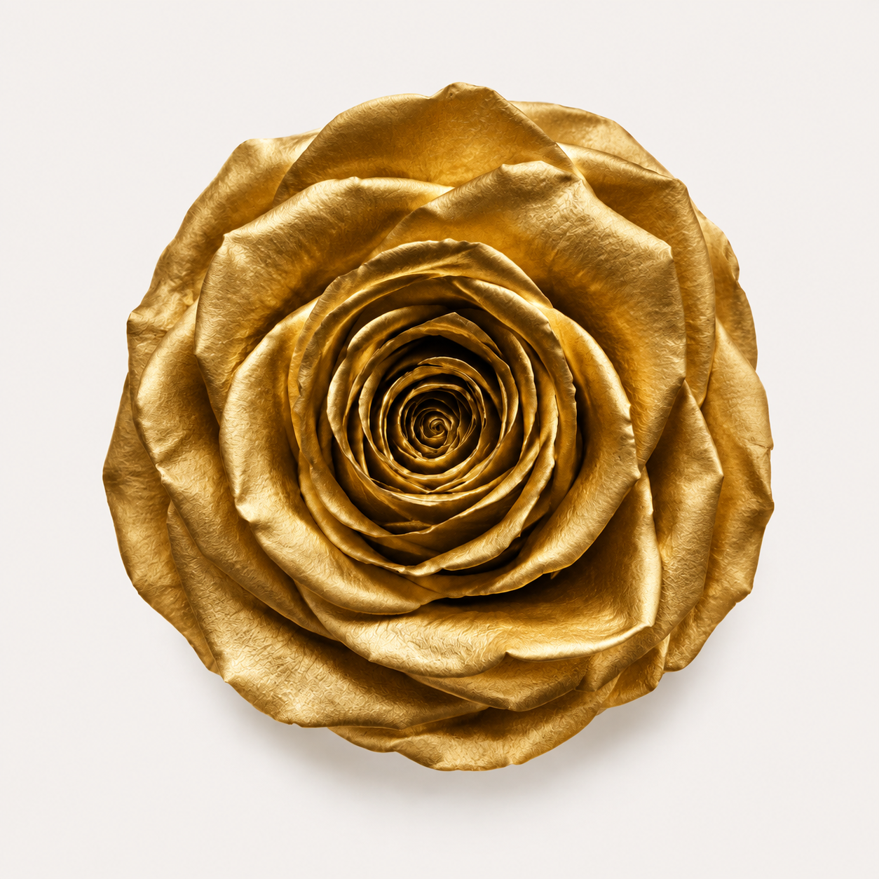 Special Rose Collection