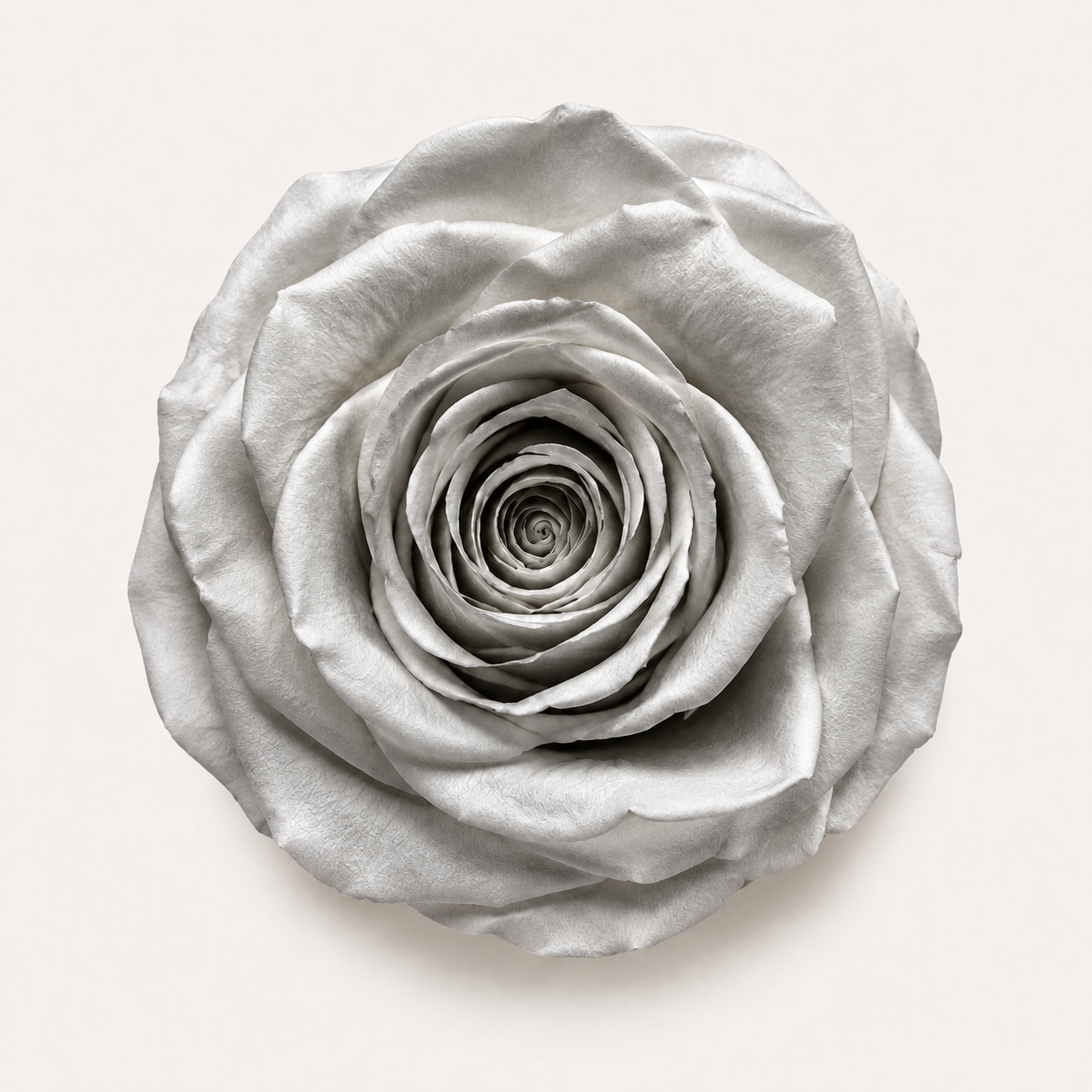 Special Rose Collection