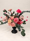 Roseina Signature Collection 3