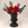 Roseina Signature Collection 8