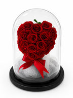 Rose in Glass Dome
