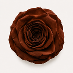Rose - Single Color Collection II
