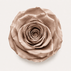 Rose - Single Color Collection II