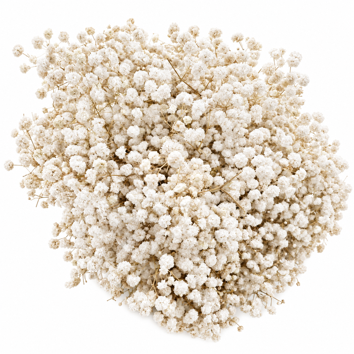 Baby Breath