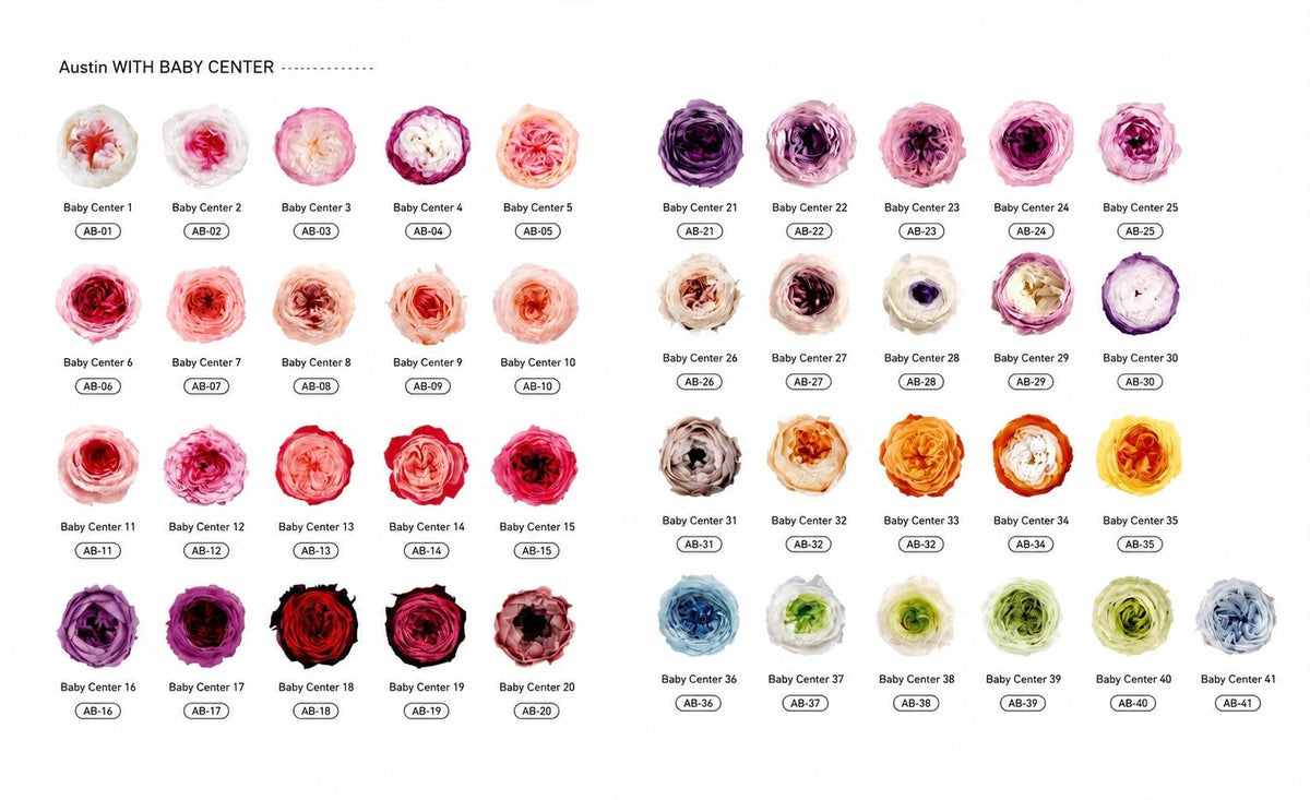 Austin - Baby Centre Color Collection I